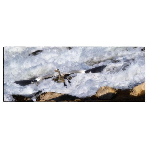 PHOTO84, CLUB, 84 , LUBERON